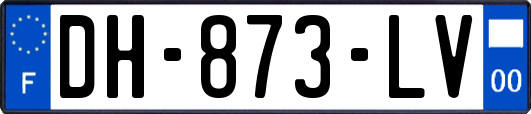 DH-873-LV