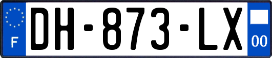 DH-873-LX
