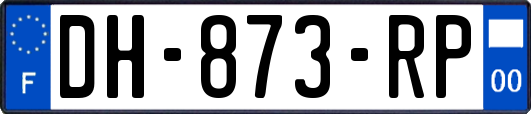 DH-873-RP