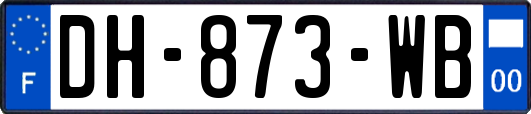 DH-873-WB