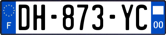 DH-873-YC