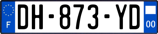 DH-873-YD
