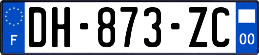 DH-873-ZC