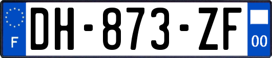 DH-873-ZF