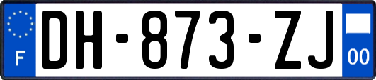 DH-873-ZJ