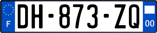 DH-873-ZQ