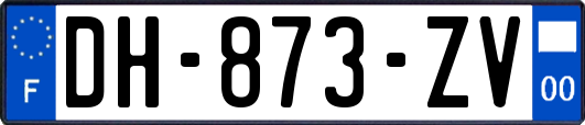 DH-873-ZV