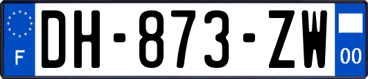 DH-873-ZW