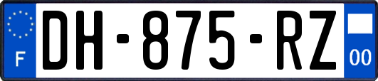 DH-875-RZ