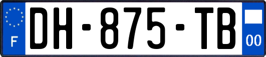 DH-875-TB