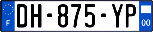 DH-875-YP