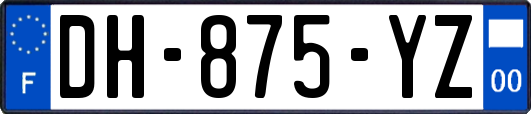 DH-875-YZ