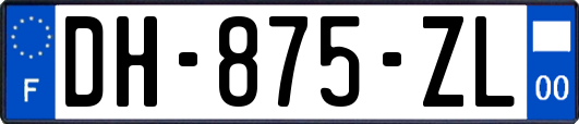 DH-875-ZL