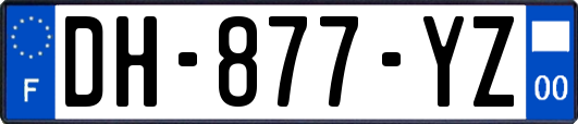 DH-877-YZ