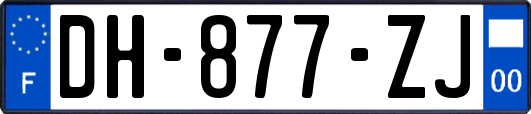 DH-877-ZJ