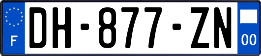 DH-877-ZN