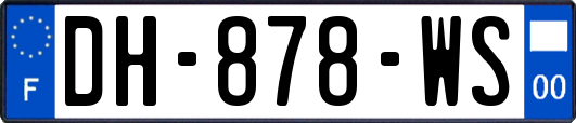 DH-878-WS