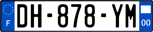 DH-878-YM