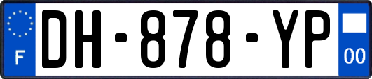 DH-878-YP