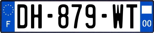 DH-879-WT