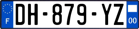 DH-879-YZ