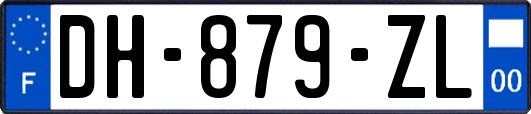 DH-879-ZL