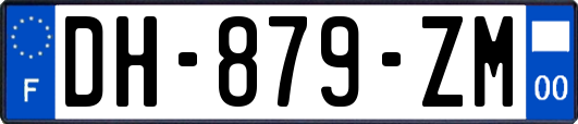 DH-879-ZM