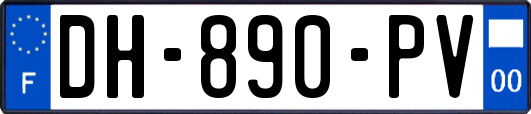 DH-890-PV