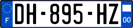 DH-895-HZ