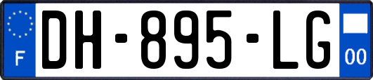 DH-895-LG