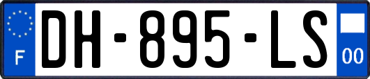 DH-895-LS