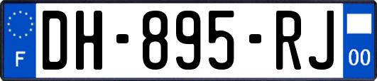 DH-895-RJ