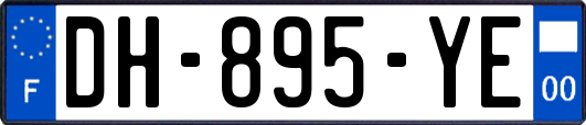 DH-895-YE