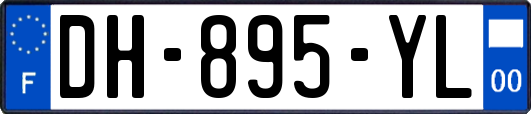 DH-895-YL