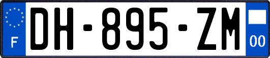 DH-895-ZM