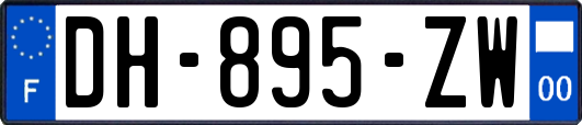 DH-895-ZW