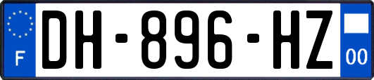DH-896-HZ