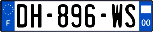 DH-896-WS