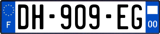 DH-909-EG