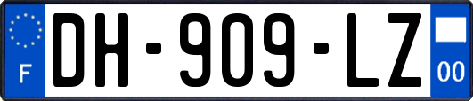 DH-909-LZ