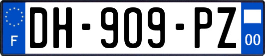 DH-909-PZ
