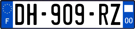 DH-909-RZ