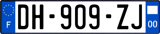 DH-909-ZJ