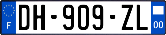 DH-909-ZL