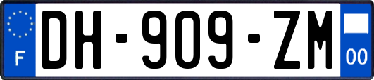 DH-909-ZM