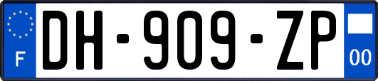 DH-909-ZP