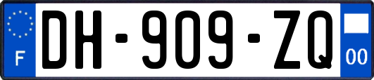 DH-909-ZQ