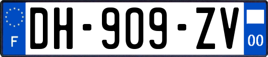 DH-909-ZV