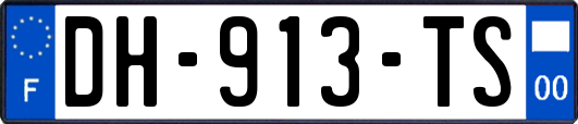 DH-913-TS