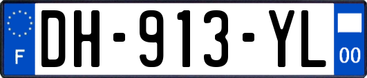 DH-913-YL